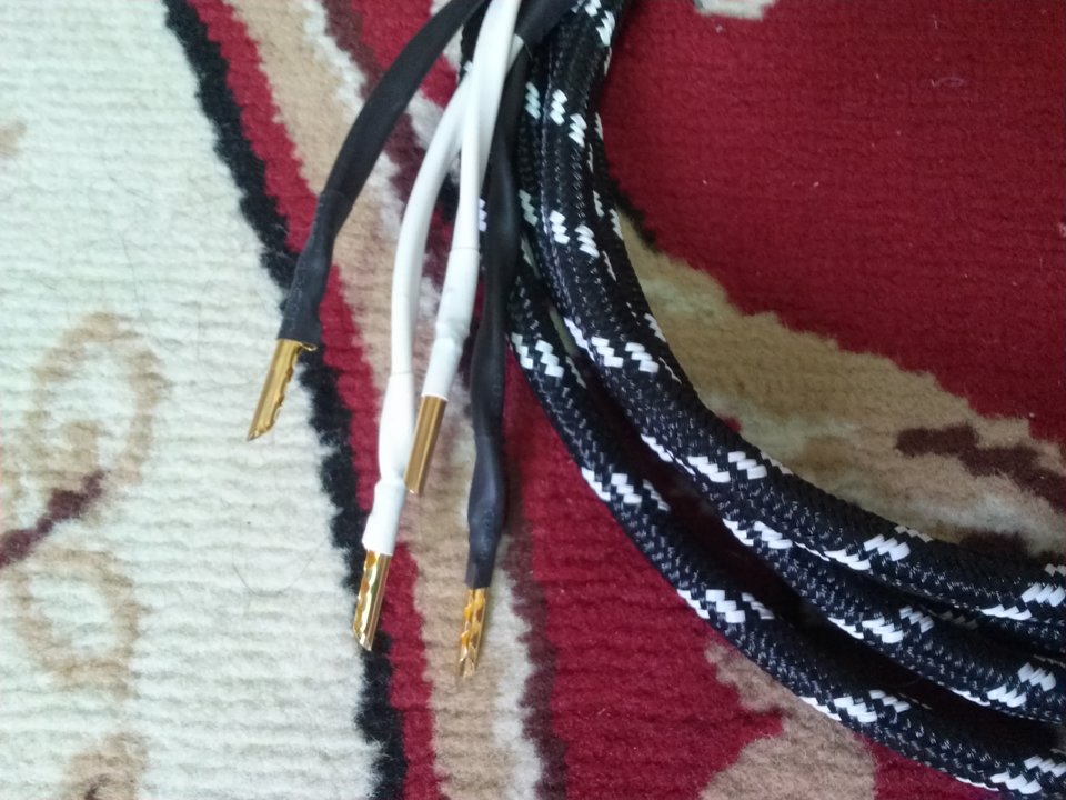1105191208a.jpg