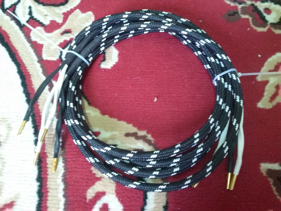 1105191208b.jpg