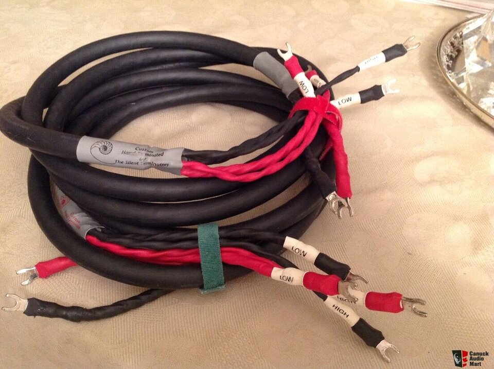 1389971-4301d953-25-m-bywired-cardas-golden-reference-speaker-cables.jpg
