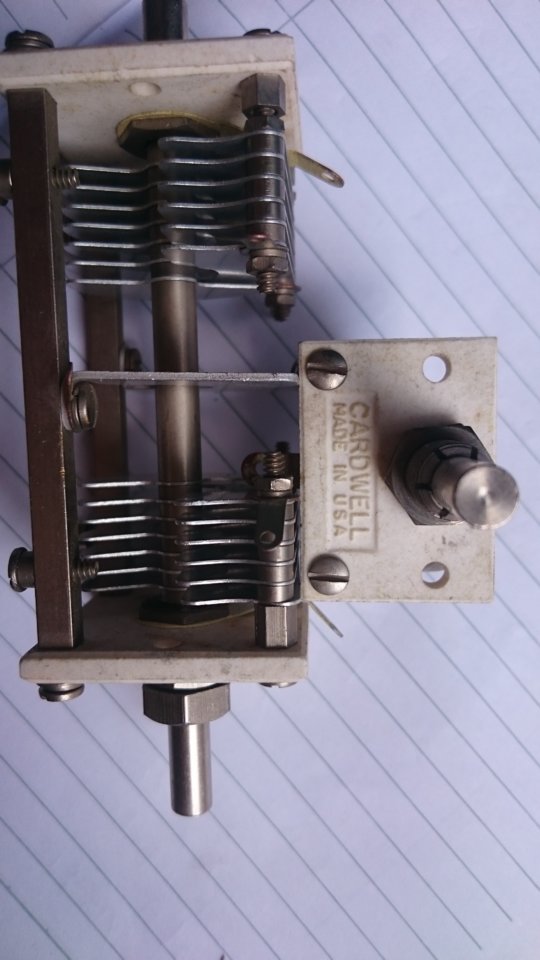 1521432719937-1501013704.jpg