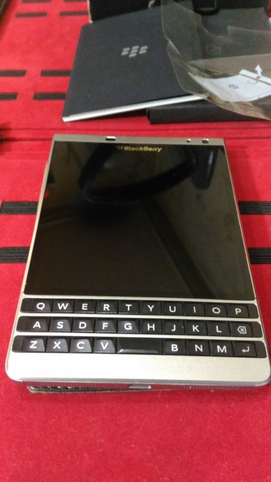 1536216299478-1304560292.jpg