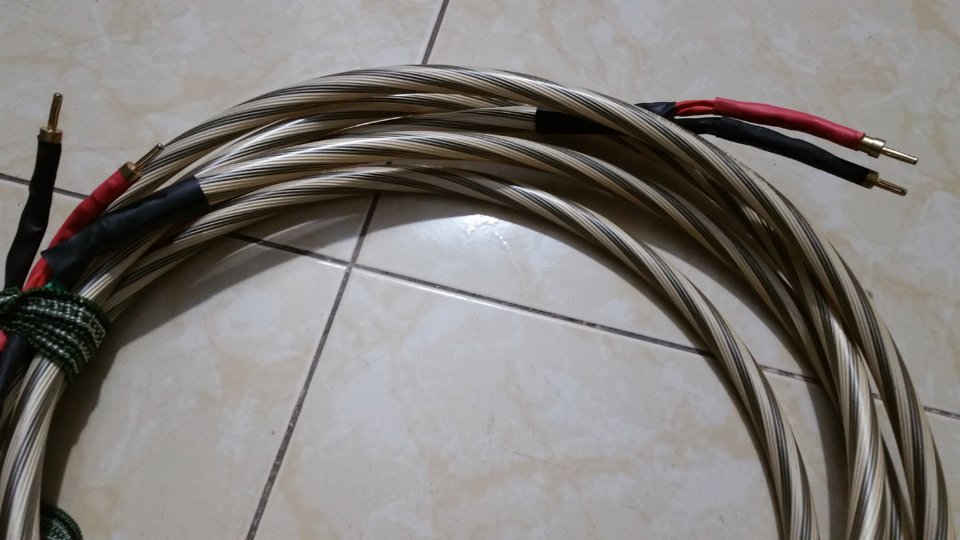1539259279810-510392707.jpg