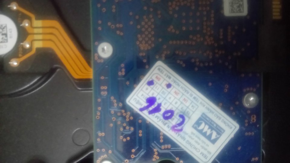 1553069864222261457037.jpg
