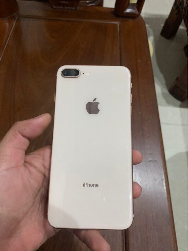 1657013876189.jpg