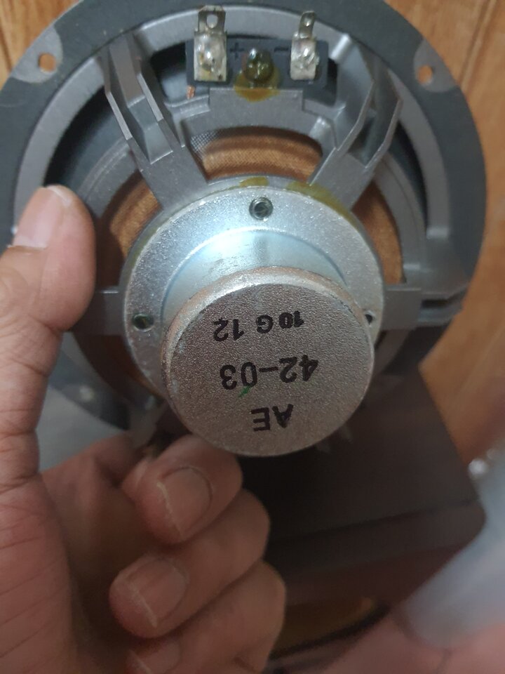 17517299662257017984584846521363.jpg