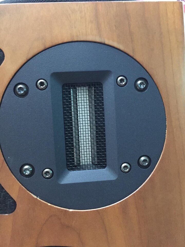 175986870_1024849834711367_6169309311830013551_n.jpg