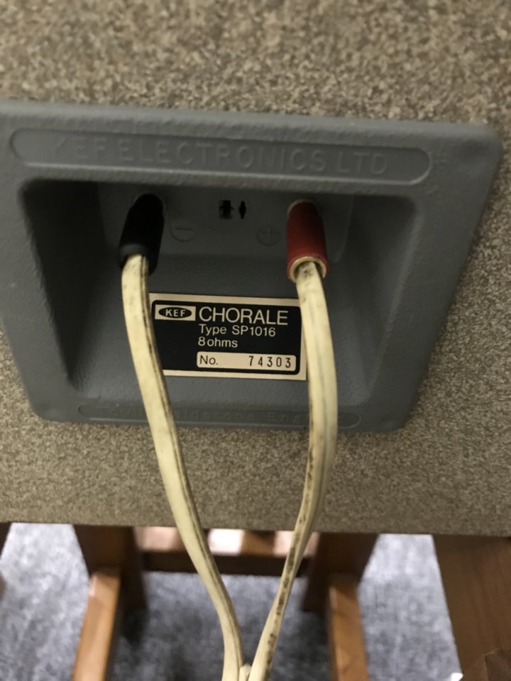 199ba532e2bb0de554aa.jpg