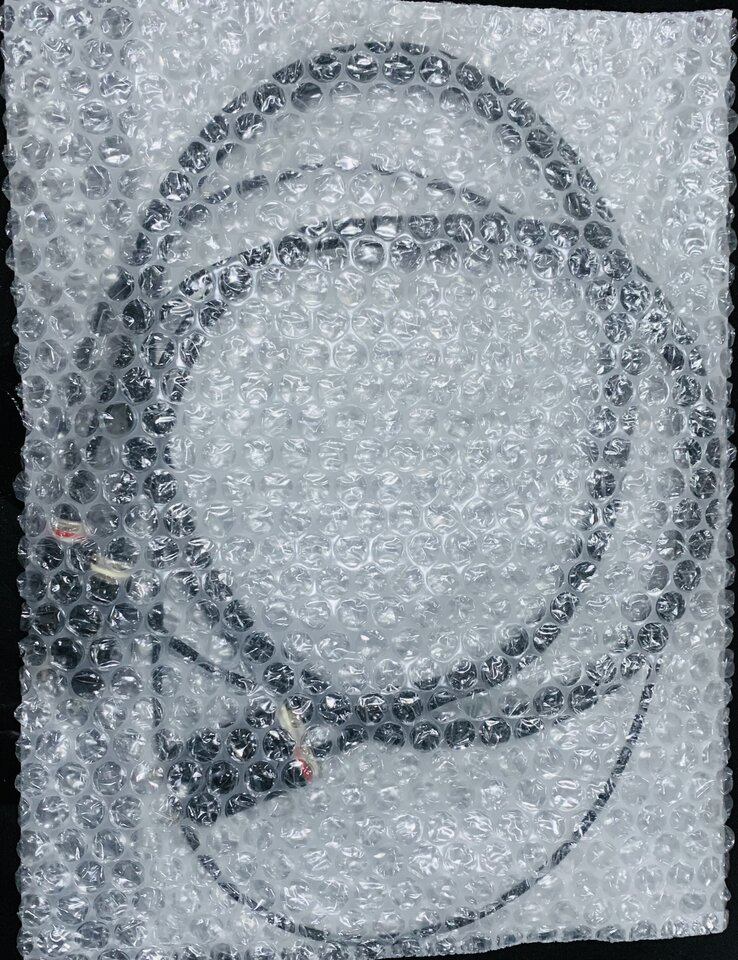 1AE06581-A146-4DD1-B583-1A5250355278.jpeg