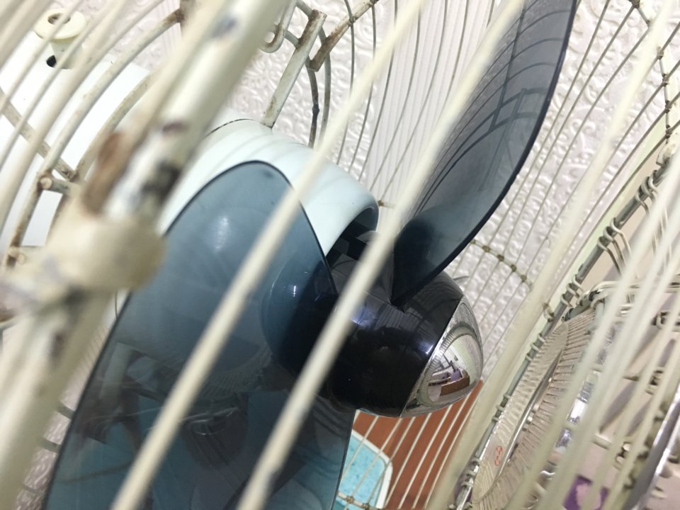 1B22D876-3E53-4DF1-A95C-9135A5ABFEC4.jpeg