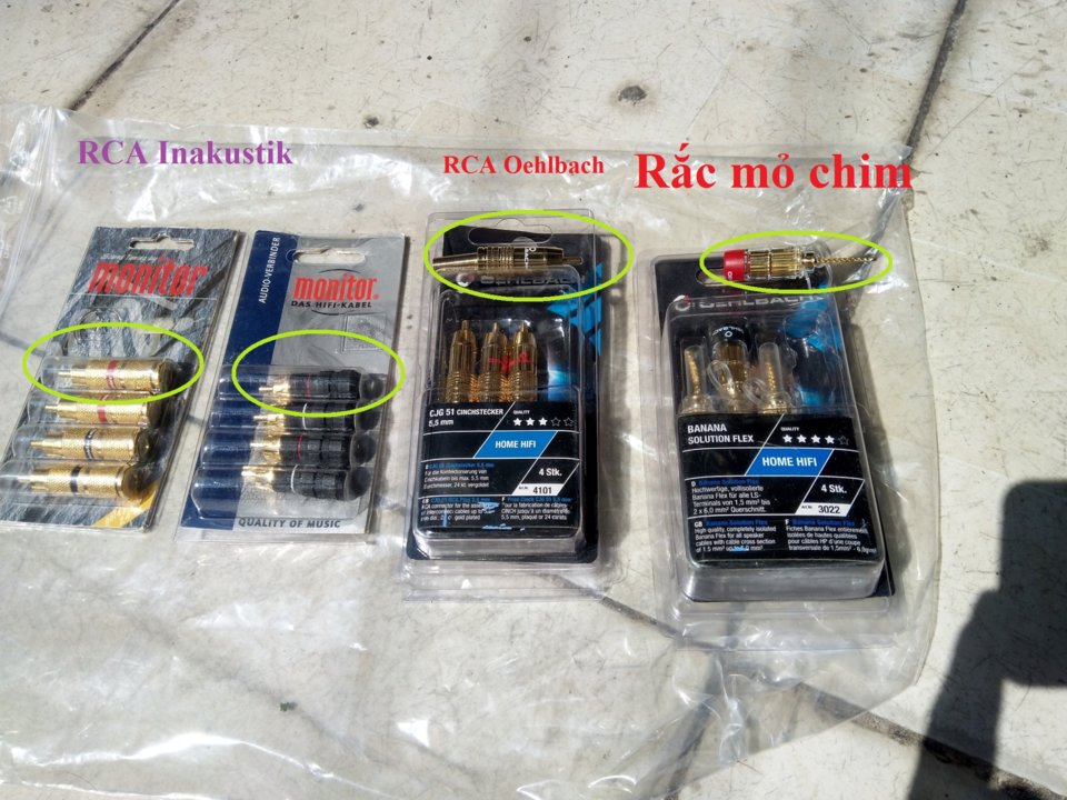 1f618d864446bc18e557.jpg