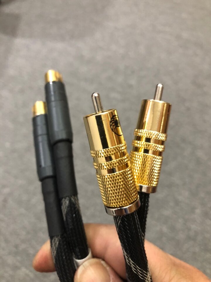 1HLCO8440_24T10P.jpg