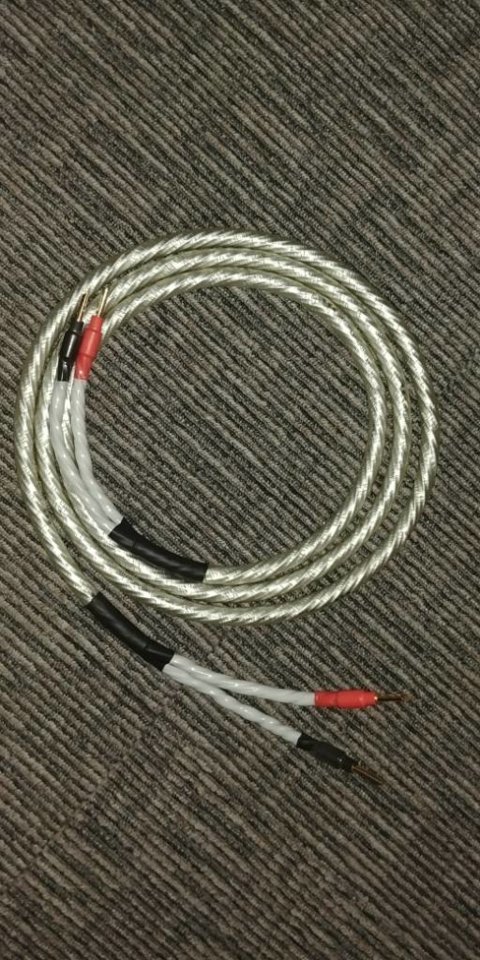 20170910_194314.jpeg