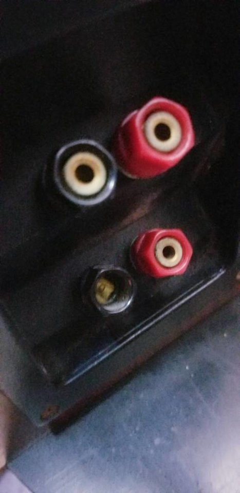 20180701_125130.jpeg