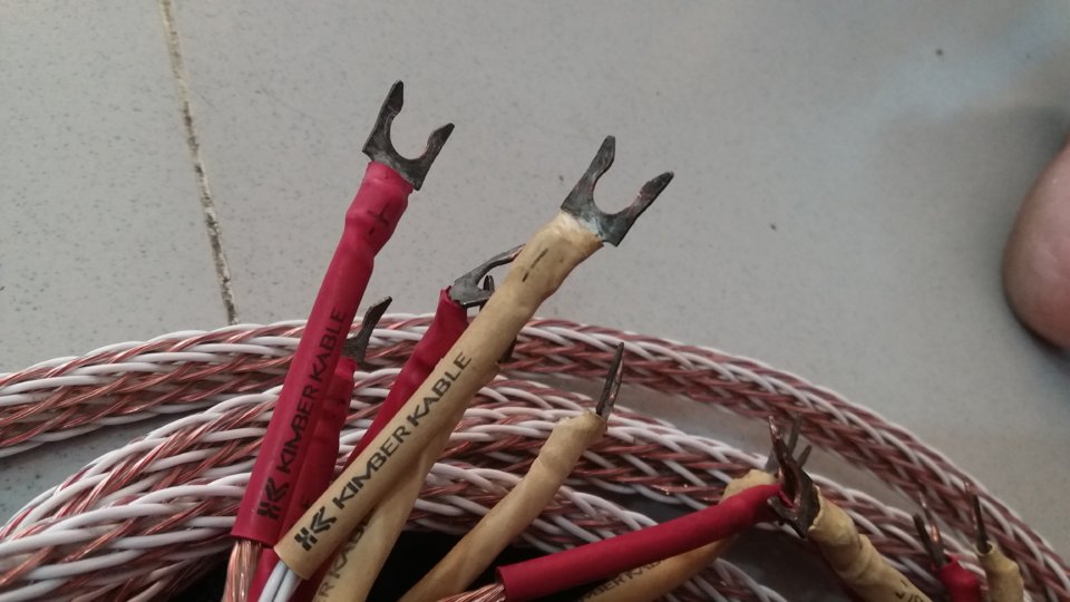 20180727_100855.jpg