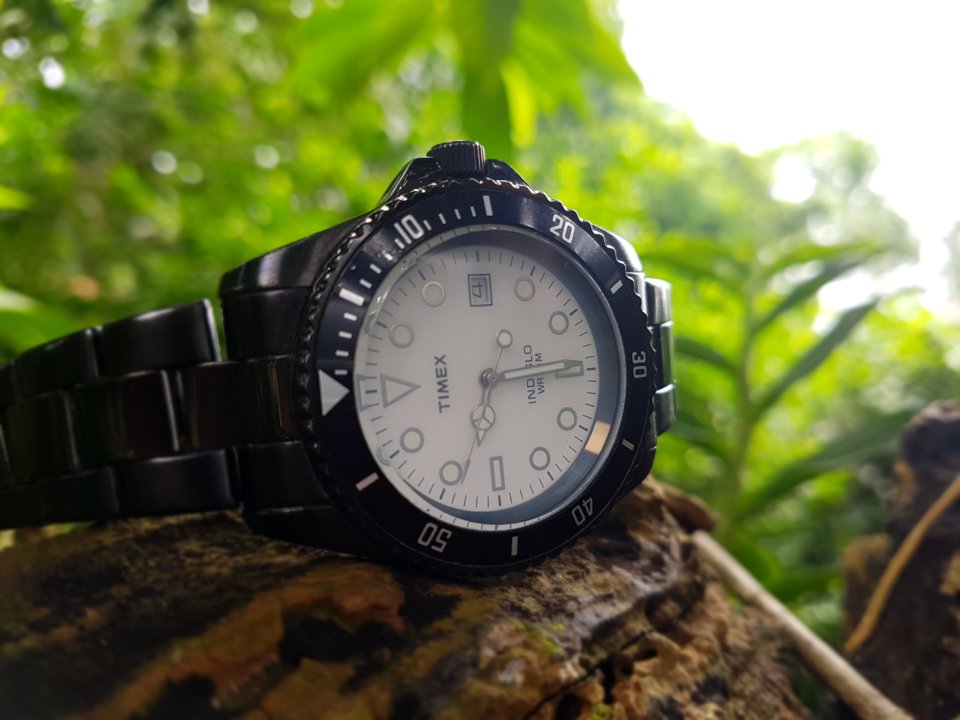 20180804_093150.jpg