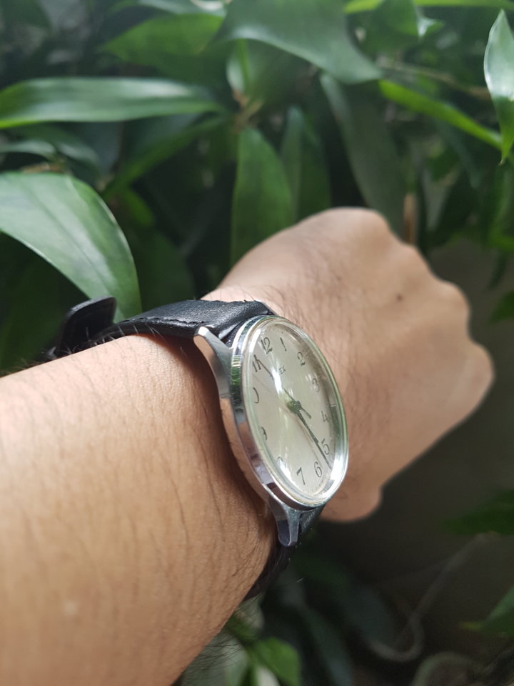 20180806_173038.jpg