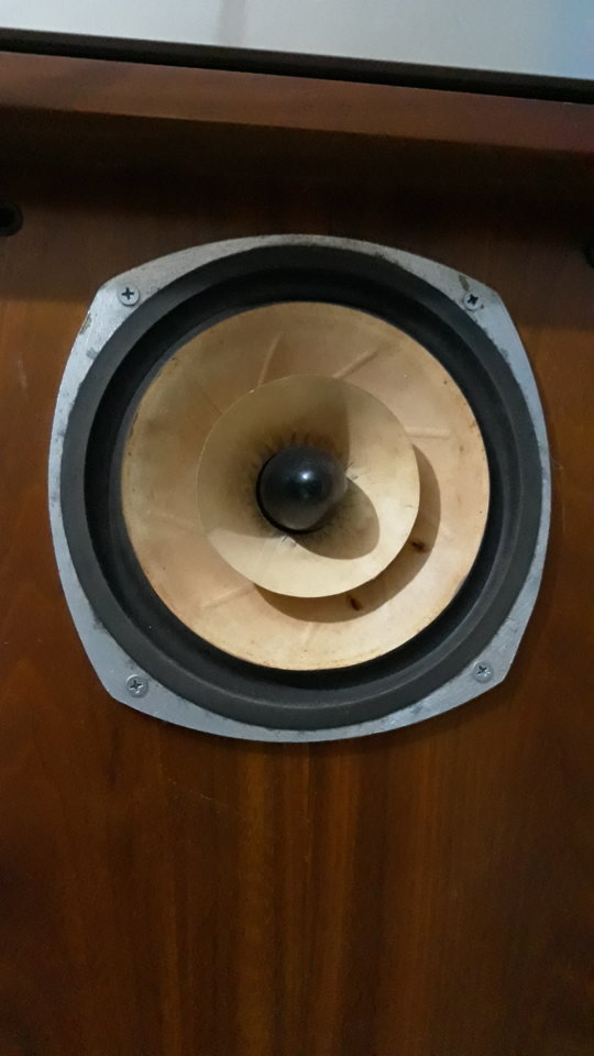 20181028_132118.jpg
