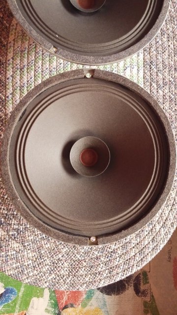 20181104_093010.jpg