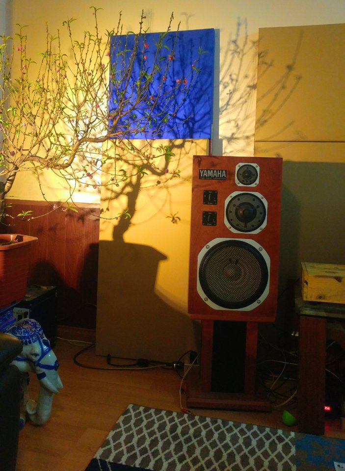 20190201_181815.jpg