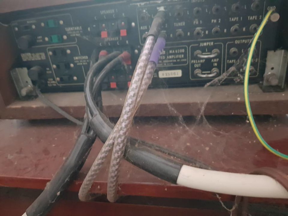 20190212_130643.jpeg