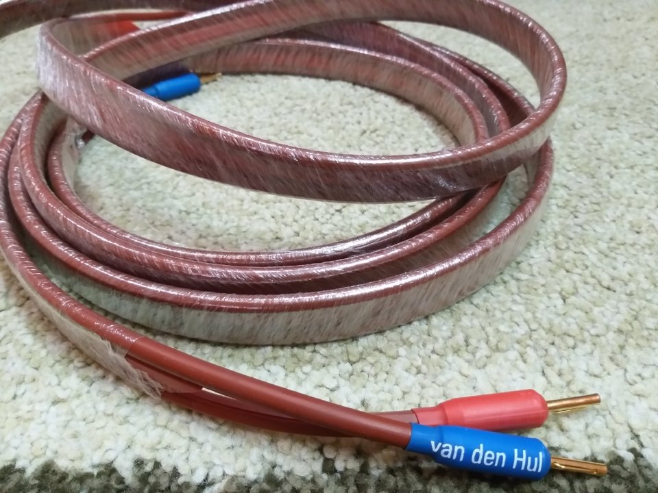 20190305_111324.jpg