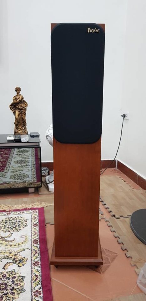 20190312_233917.jpeg