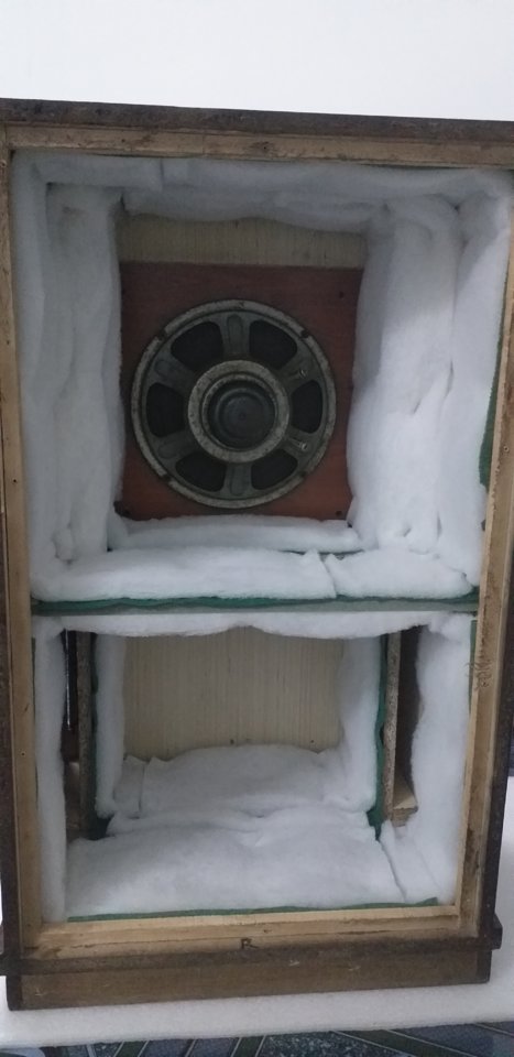 20190322_181809.jpg