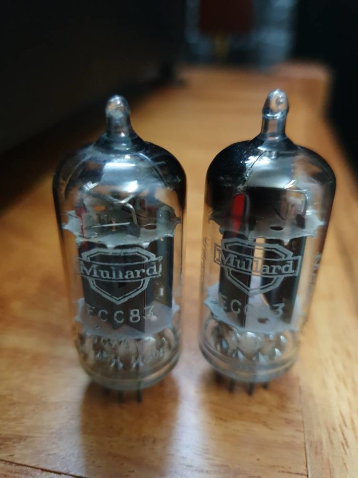 20190403_175326.jpeg