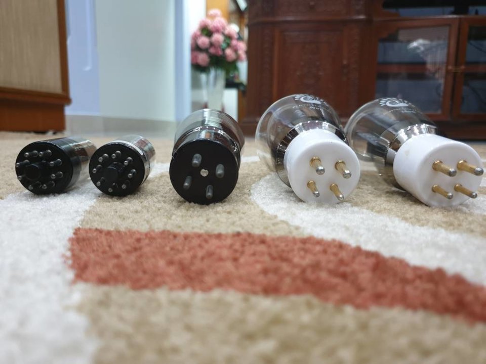 20190409_121242.jpeg