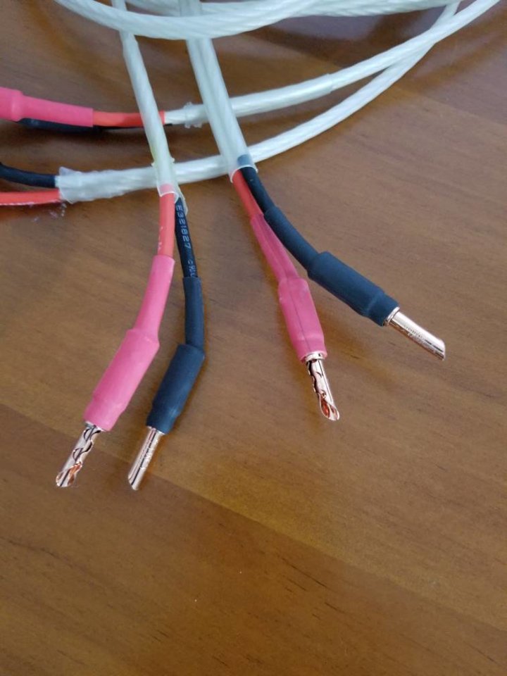 20190411_214404.jpeg