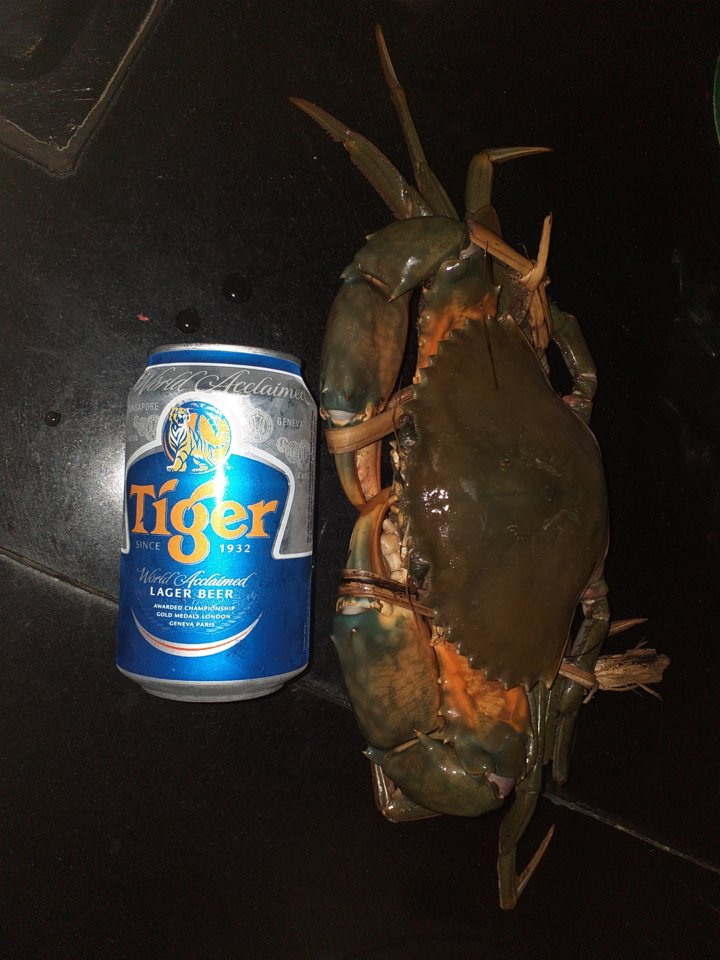 20190608_135809.jpg