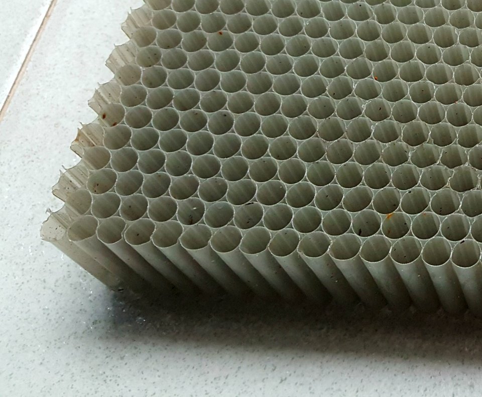 20190615_102847.jpg