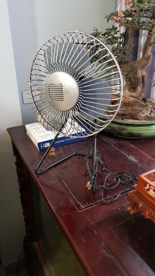 20190619_091927.jpg