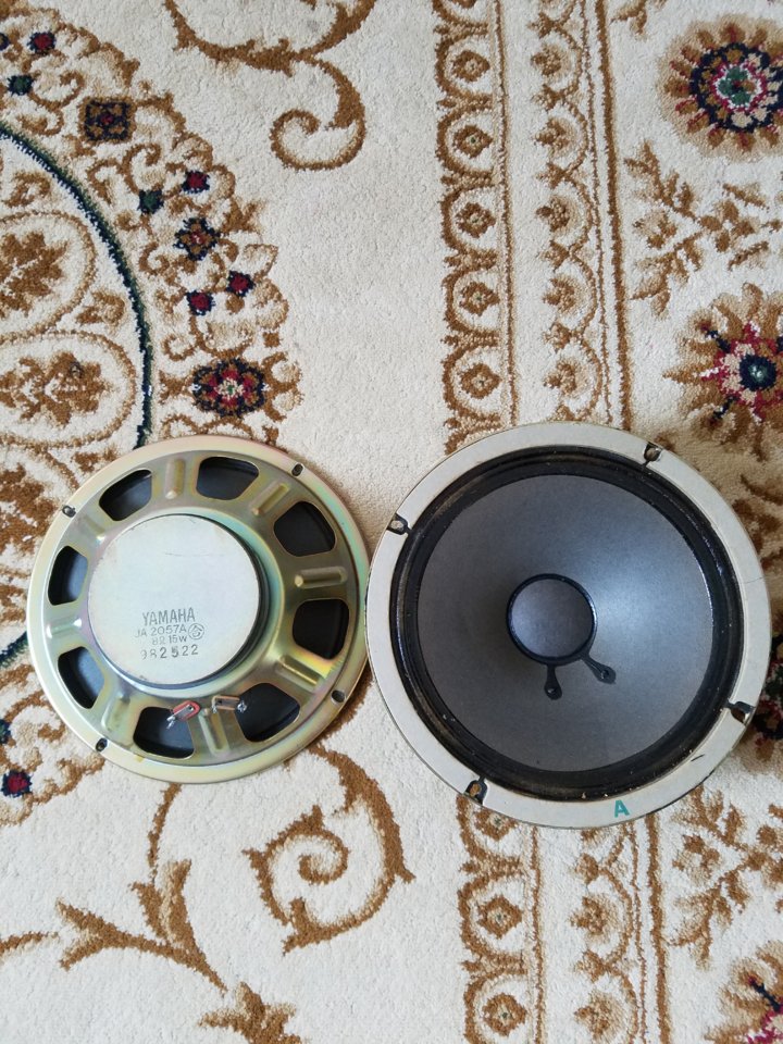 20190707_094231.jpg