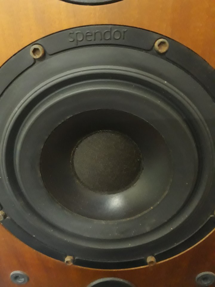 20190817_184959.jpg