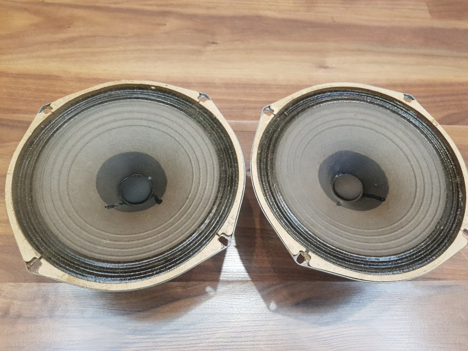 20190905_130429.jpg