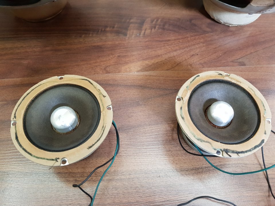 20191003_110618.jpg