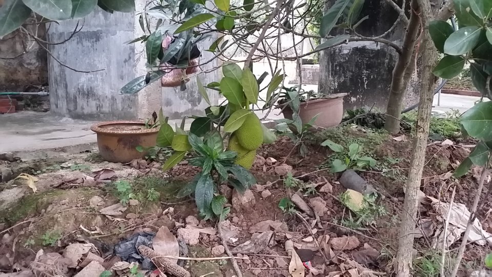 20200120_074604.jpg