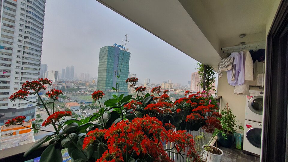 20210315_080211.jpg