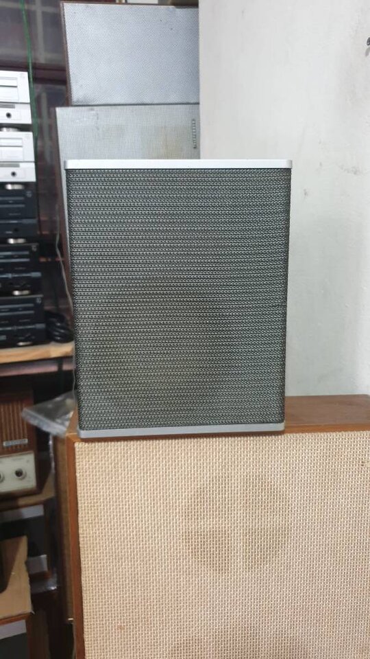 20210417_115955.jpeg