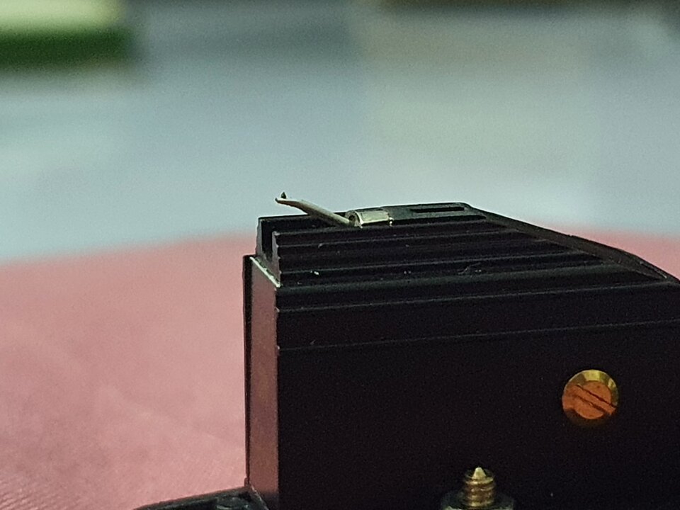 20210507_164854.jpg