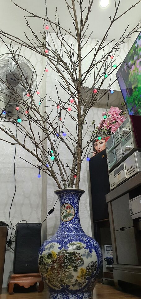 20220123_121727.jpg