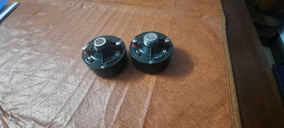 20220205_173113.jpg