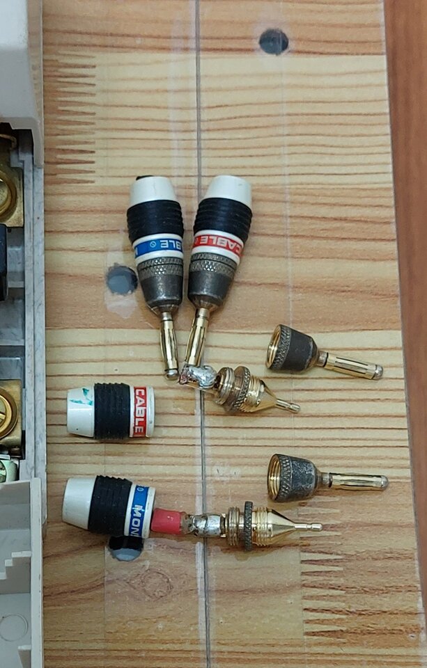 20220311_104732.jpg