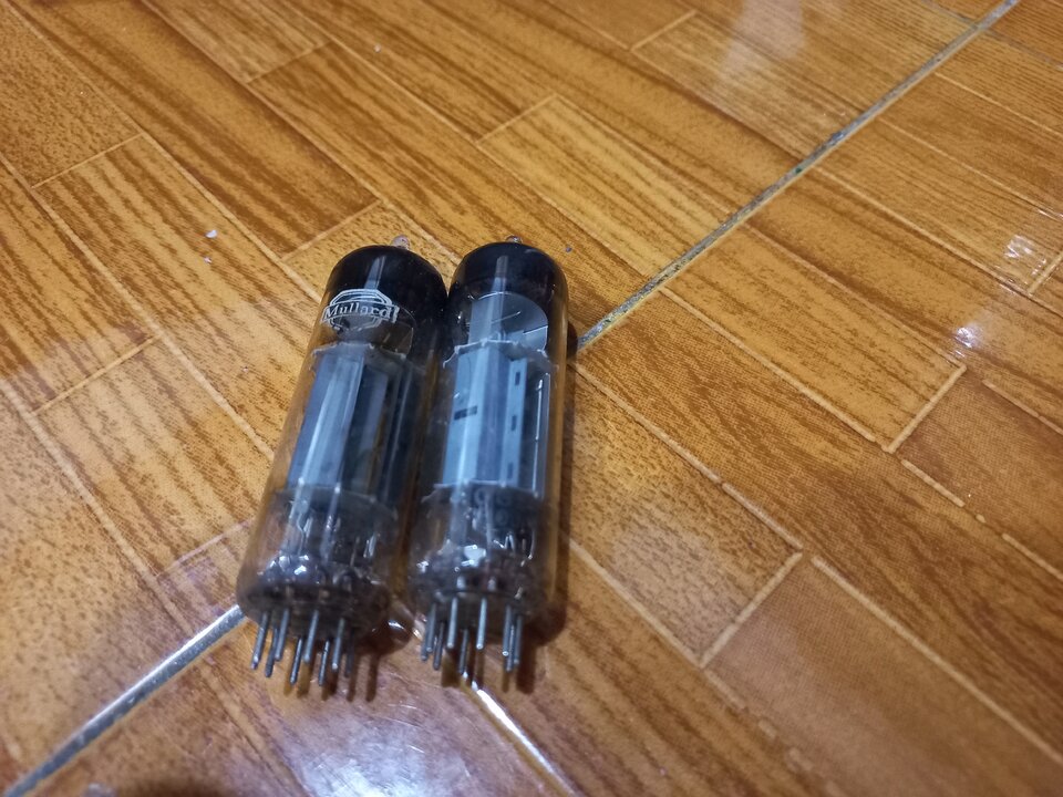 20220506_190751.jpg