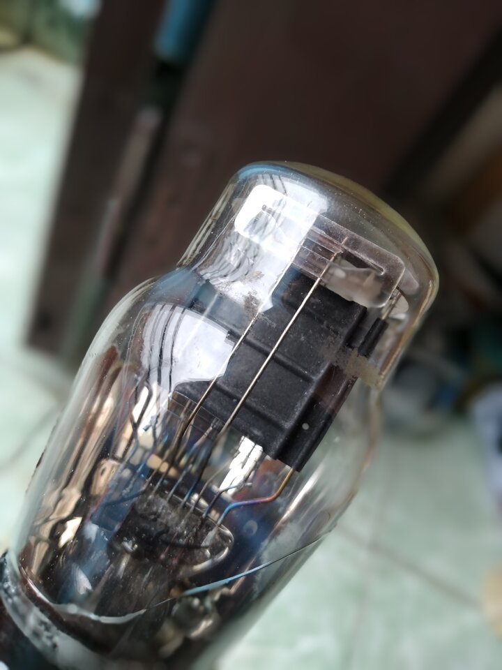 20220910_072146.jpg