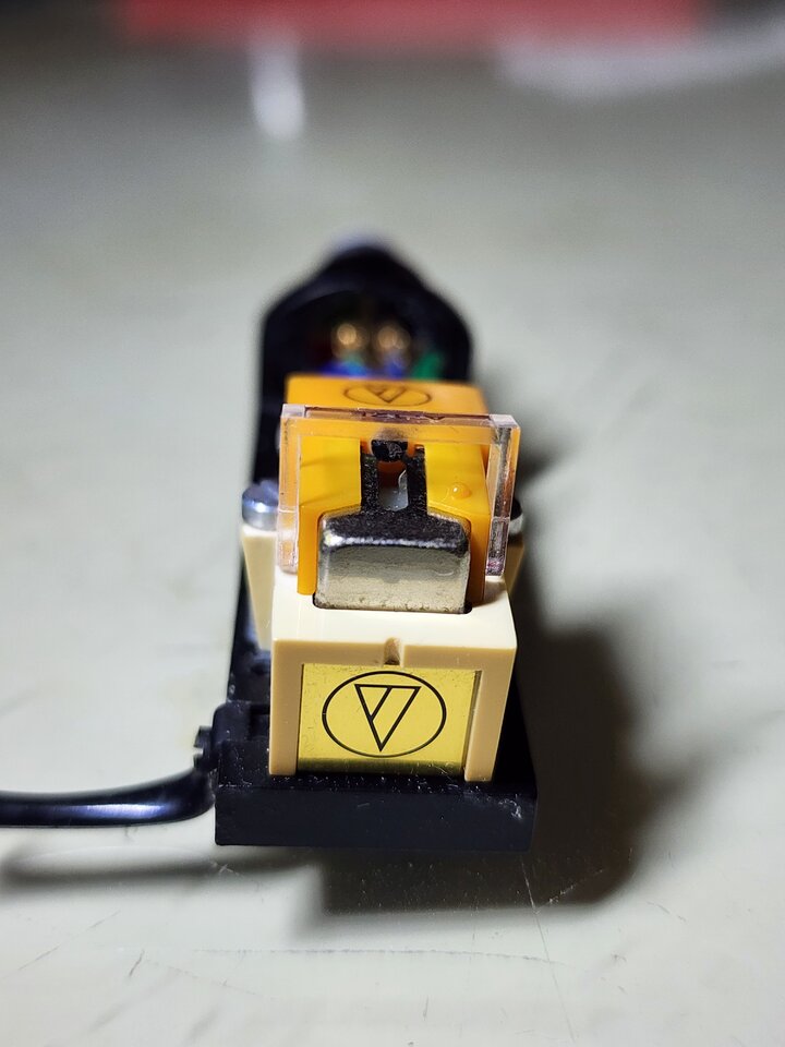 20230311_130924.jpg