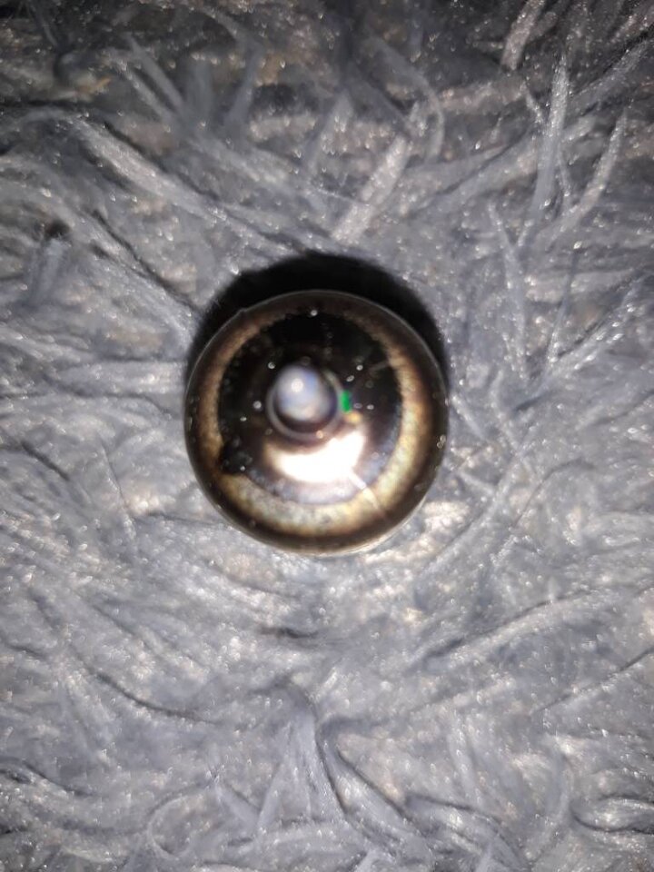 20230409_192710.jpg