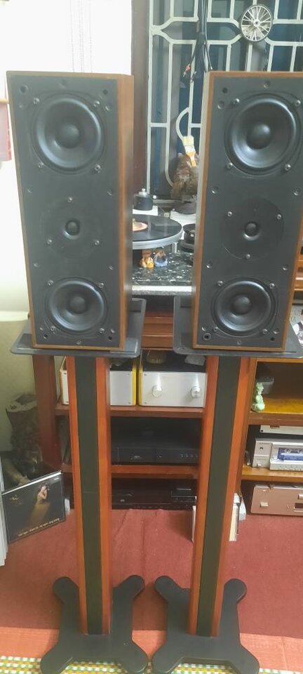 20230422_133911.jpg