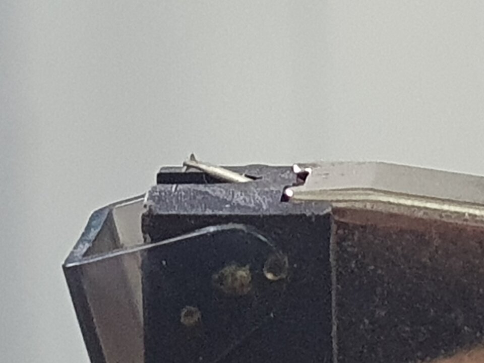 20230629_164652.jpg